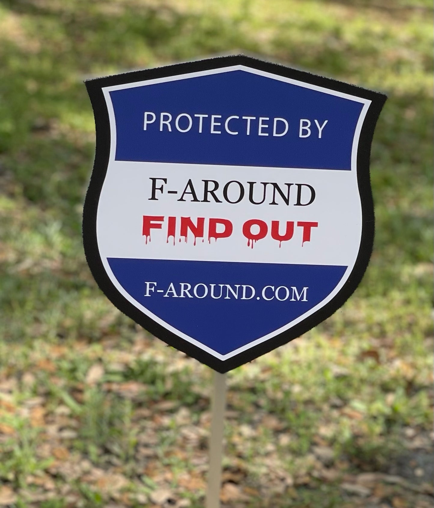 F-Around & Find Out Security Sign